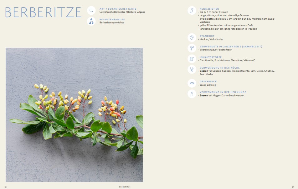 9783747206584_innenansicht_05 9783747206584_innenansicht_05.jpg