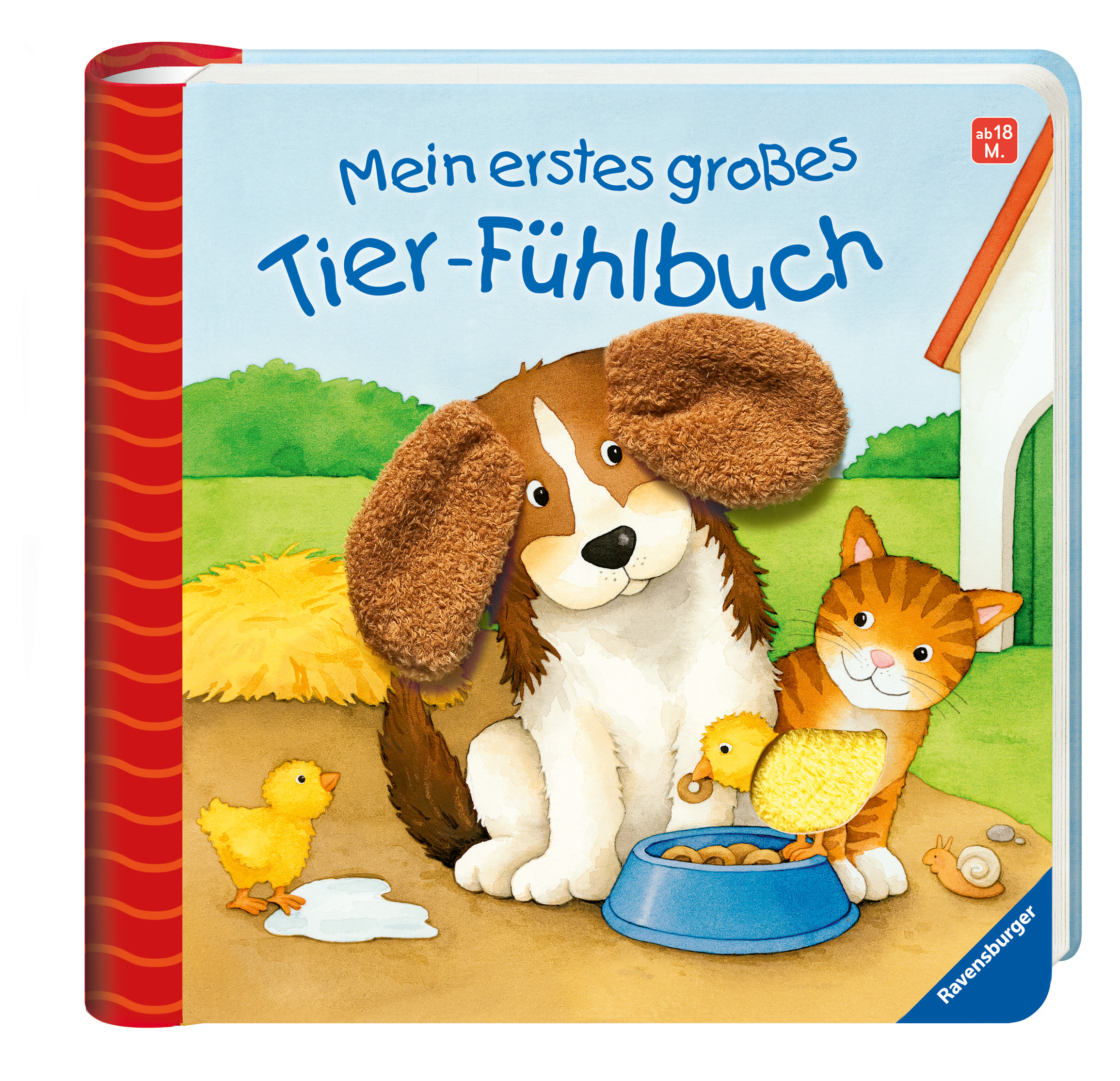 9783473432998_innenansicht_01.jpg