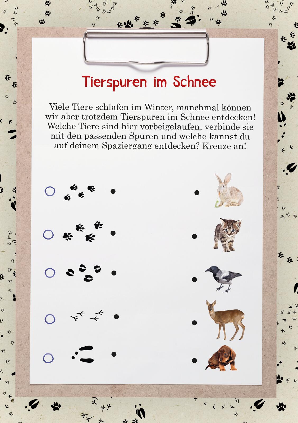 9783845853727_innenansicht_05.jpg