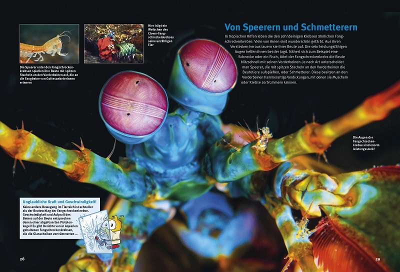 9783866595040_innenansicht_02 9783866595040_innenansicht_02.jpg