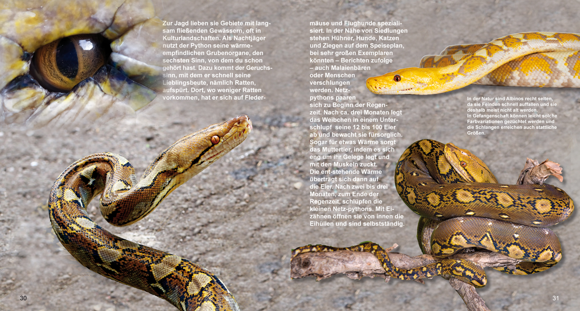 9783930038961_innenansicht_01 9783930038961_innenansicht_01.jpg