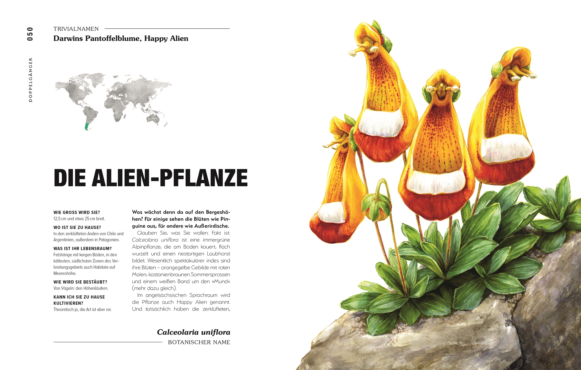 9783831047406_innenansicht_04 9783831047406_innenansicht_04.jpg