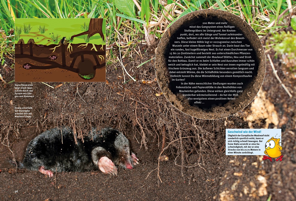 9783866595118_innenansicht_03 9783866595118_innenansicht_03.jpg