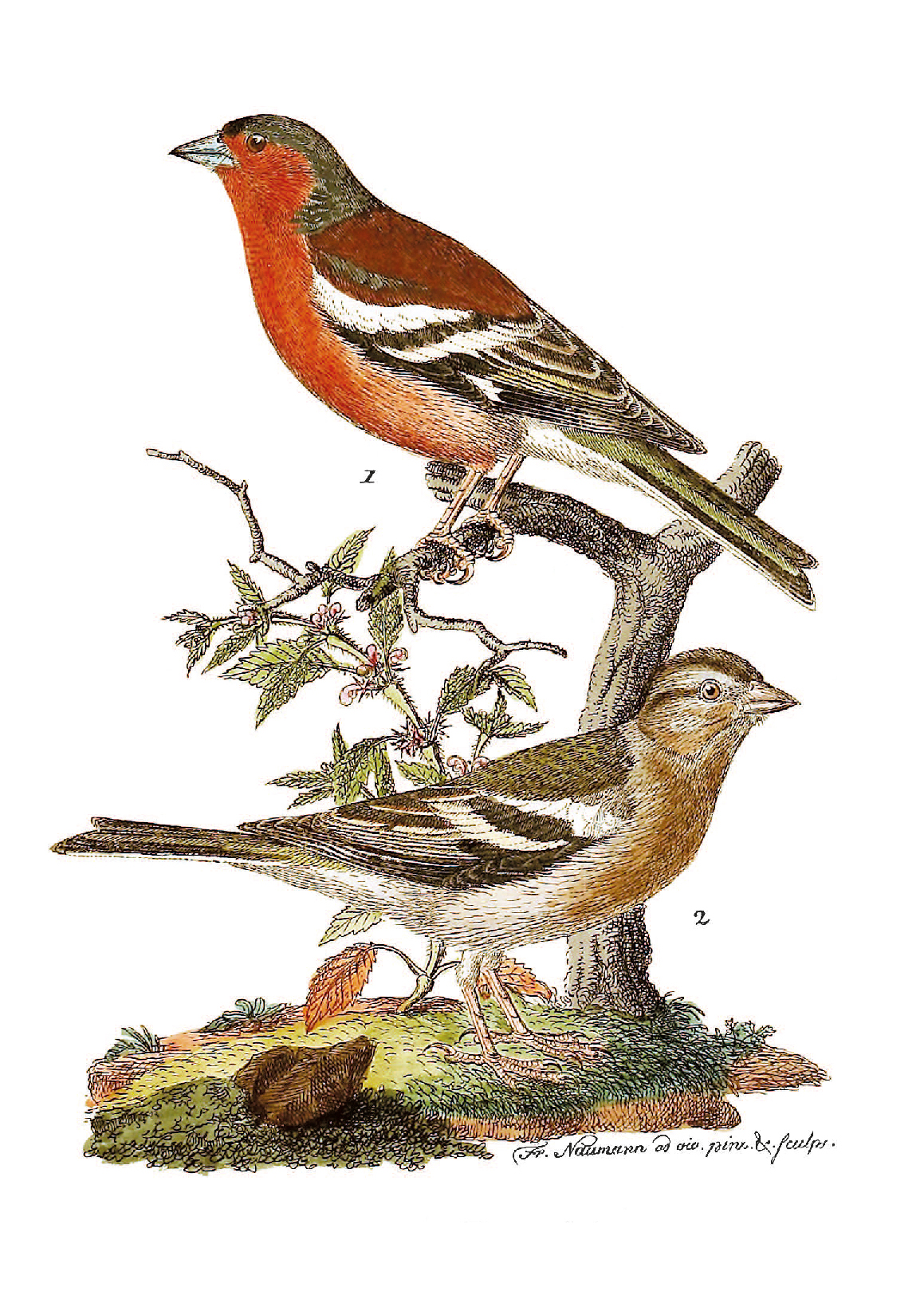 9783968492001_innenansicht_04 9783968492001_innenansicht_04.jpg