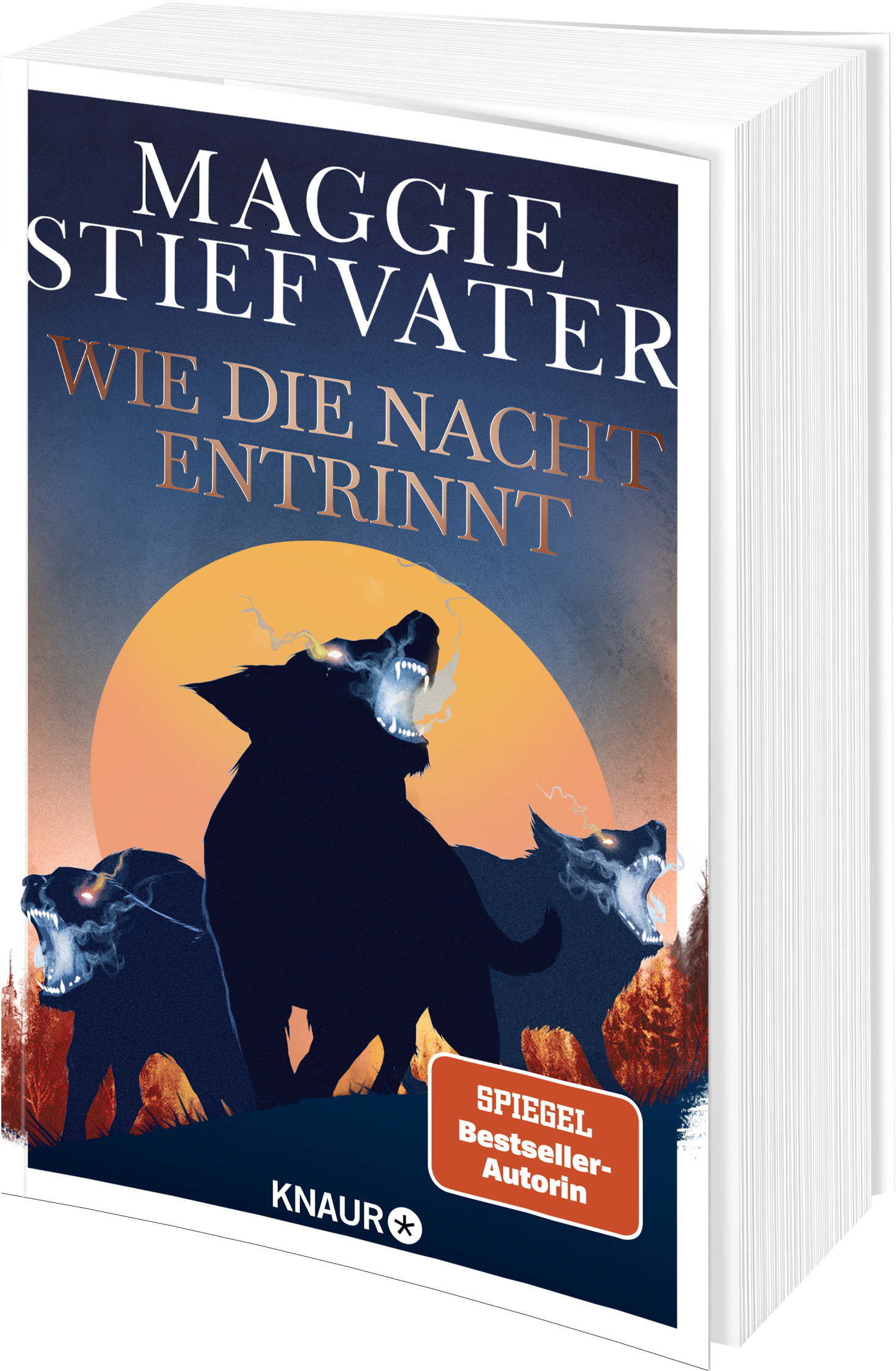 9783426529492_weiterecover_01 9783426529492_weiterecover_01.png