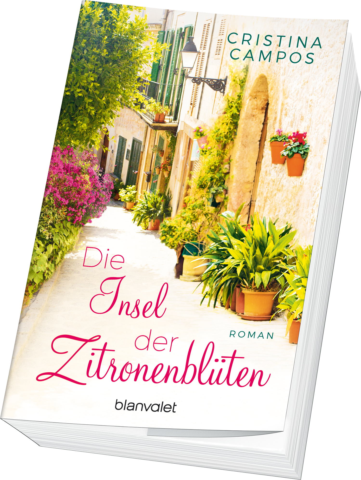 9783734104336_innenansicht_01.png