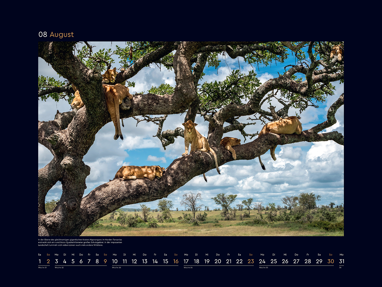 9783965914957_innenansicht_09 9783965914957_innenansicht_09.jpg