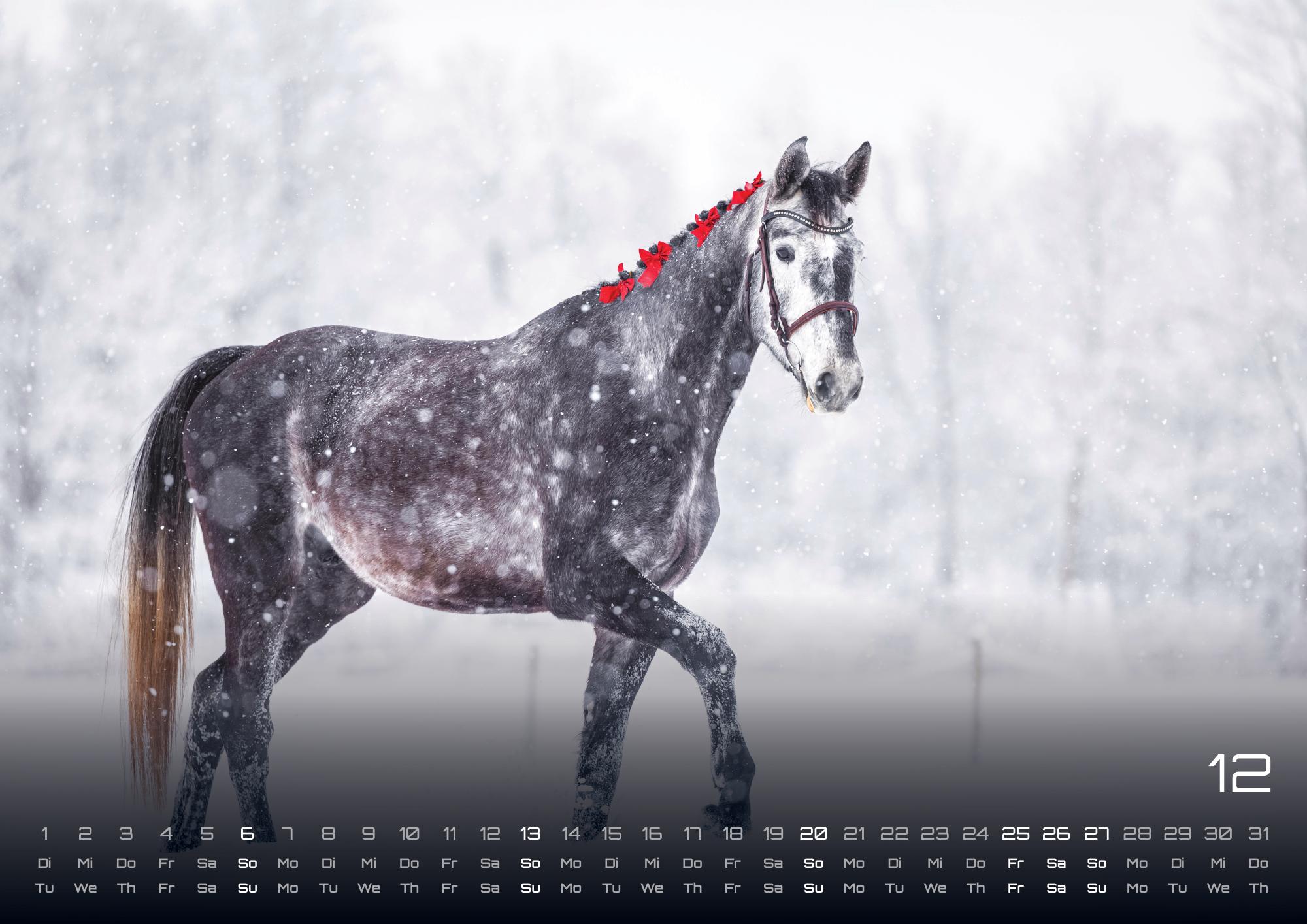 9783986735647_innenansicht_12 9783986735647_innenansicht_12.jpg