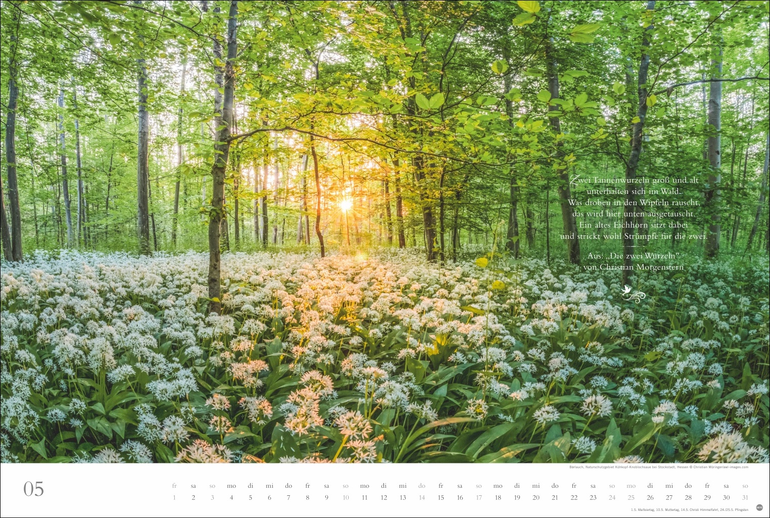 9783756410910_innenansicht_05.jpg