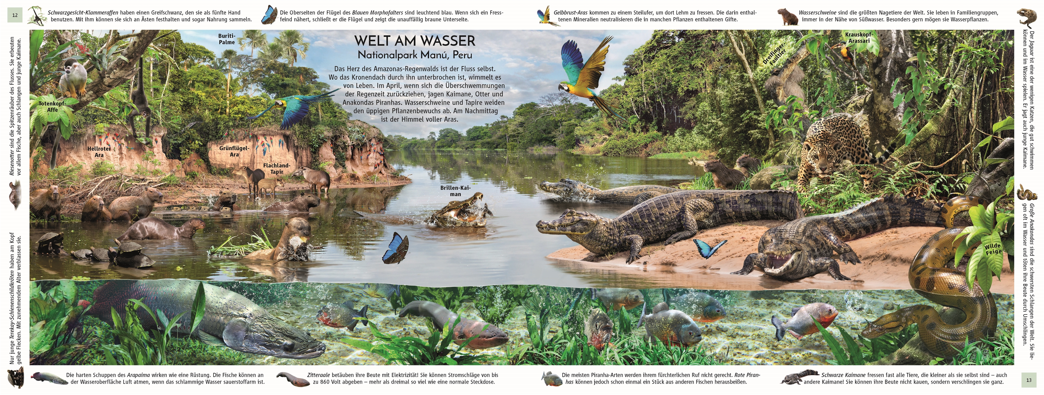 9783831051458_innenansicht_05 9783831051458_innenansicht_05.jpg