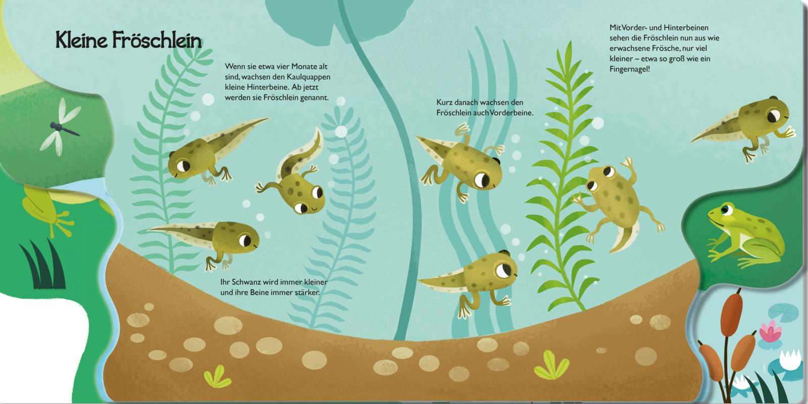 9783551172198_innenansicht_03 9783551172198_innenansicht_03.jpg