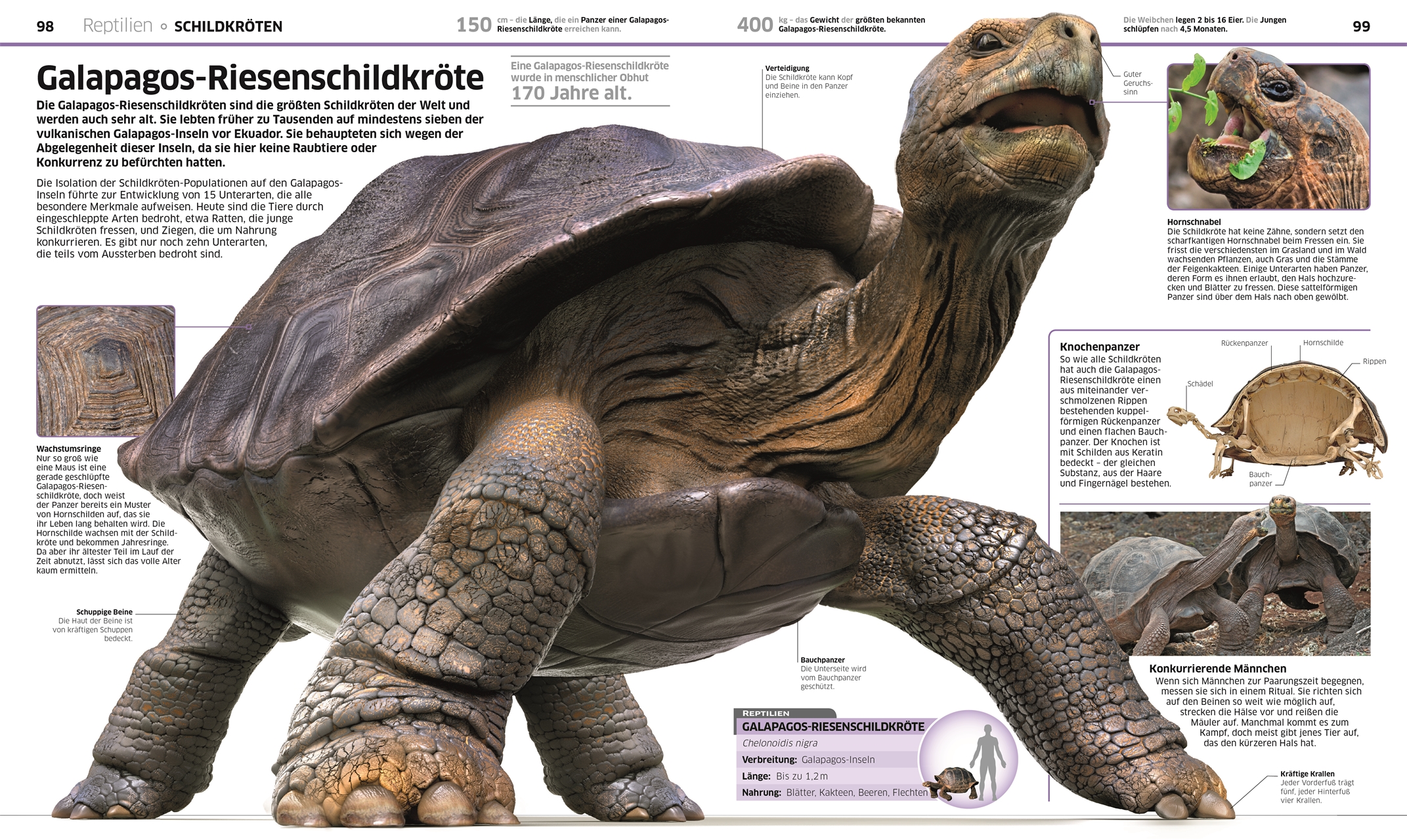 9783831033409_innenansicht_05 9783831033409_innenansicht_05.jpg