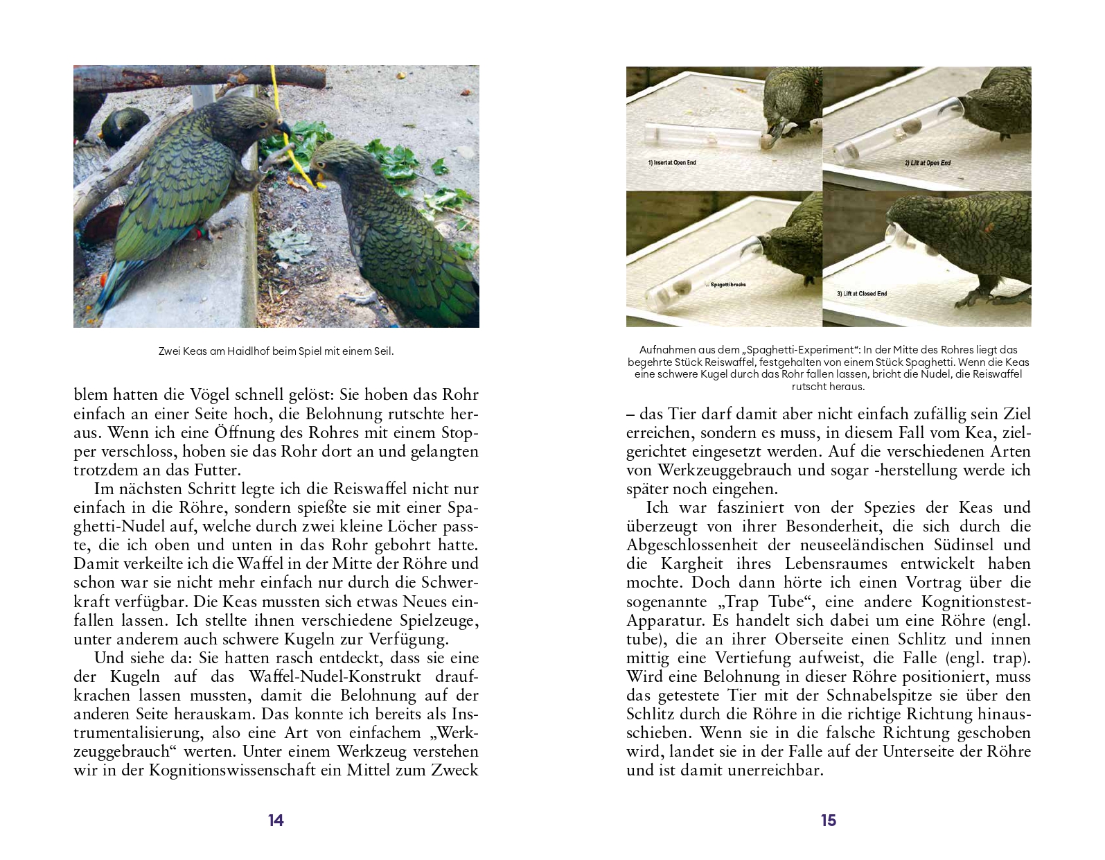 9783710608582_innenansicht_08 9783710608582_innenansicht_08.jpg