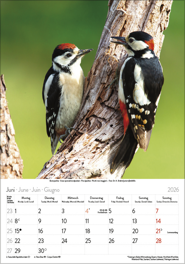 9783731883647_innenansicht_06 9783731883647_innenansicht_06.jpg