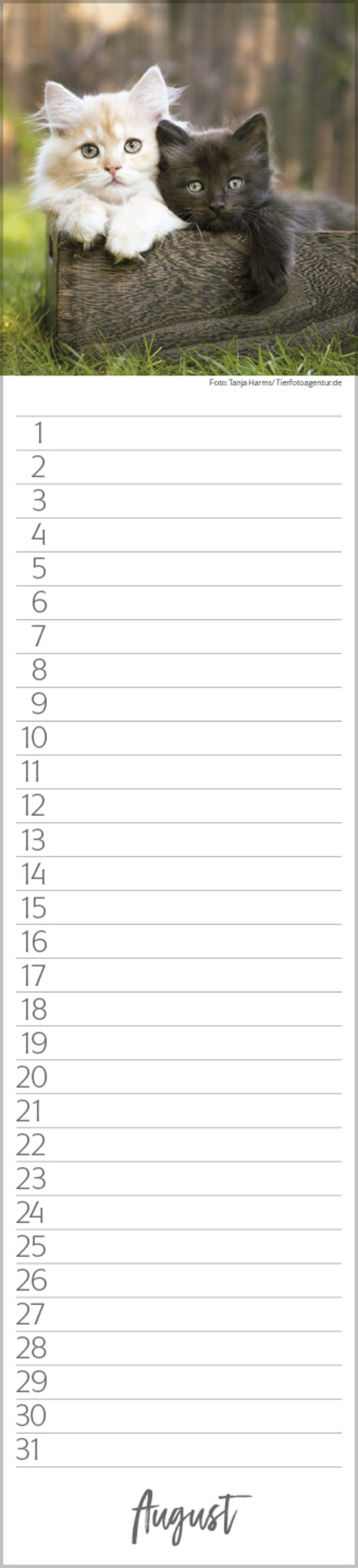 9783731887638_innenansicht_08 9783731887638_innenansicht_08.jpg