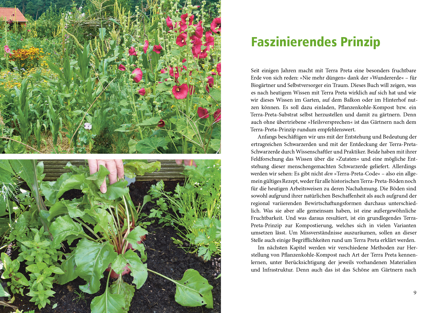 9783895663765_innenansicht_01 9783895663765_innenansicht_01.jpg