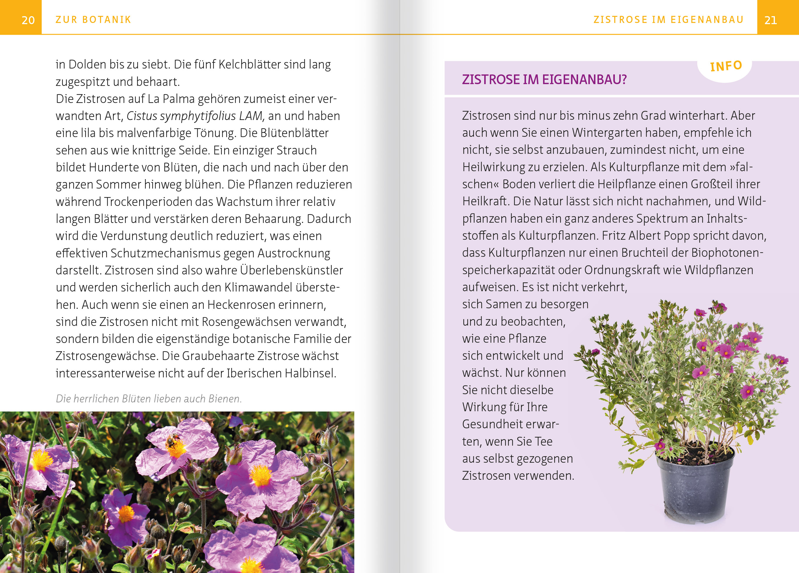 9783863746117_innenansicht_02 9783863746117_innenansicht_02.jpg