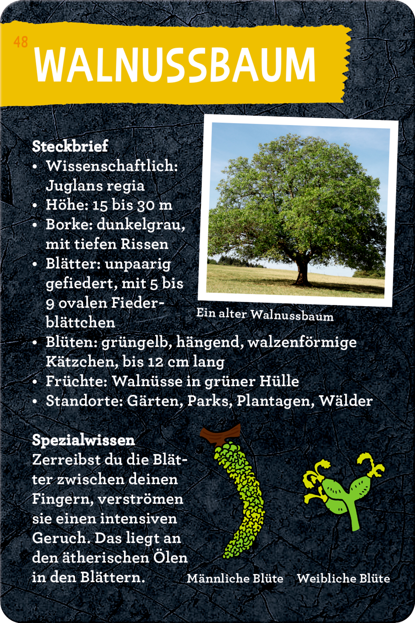 9783649648086_innenansicht_05 9783649648086_innenansicht_05.jpg