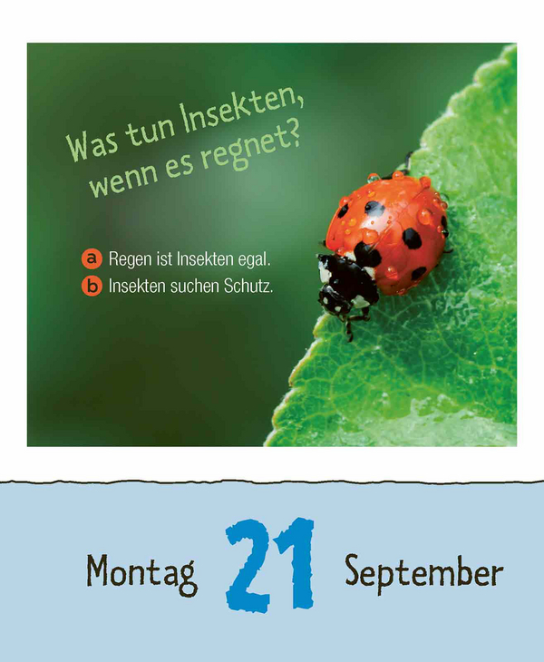 9783731887676_innenansicht_12.jpg