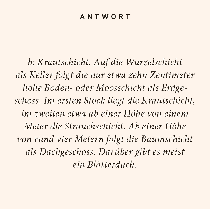9783899784589_innenansicht_02.jpg