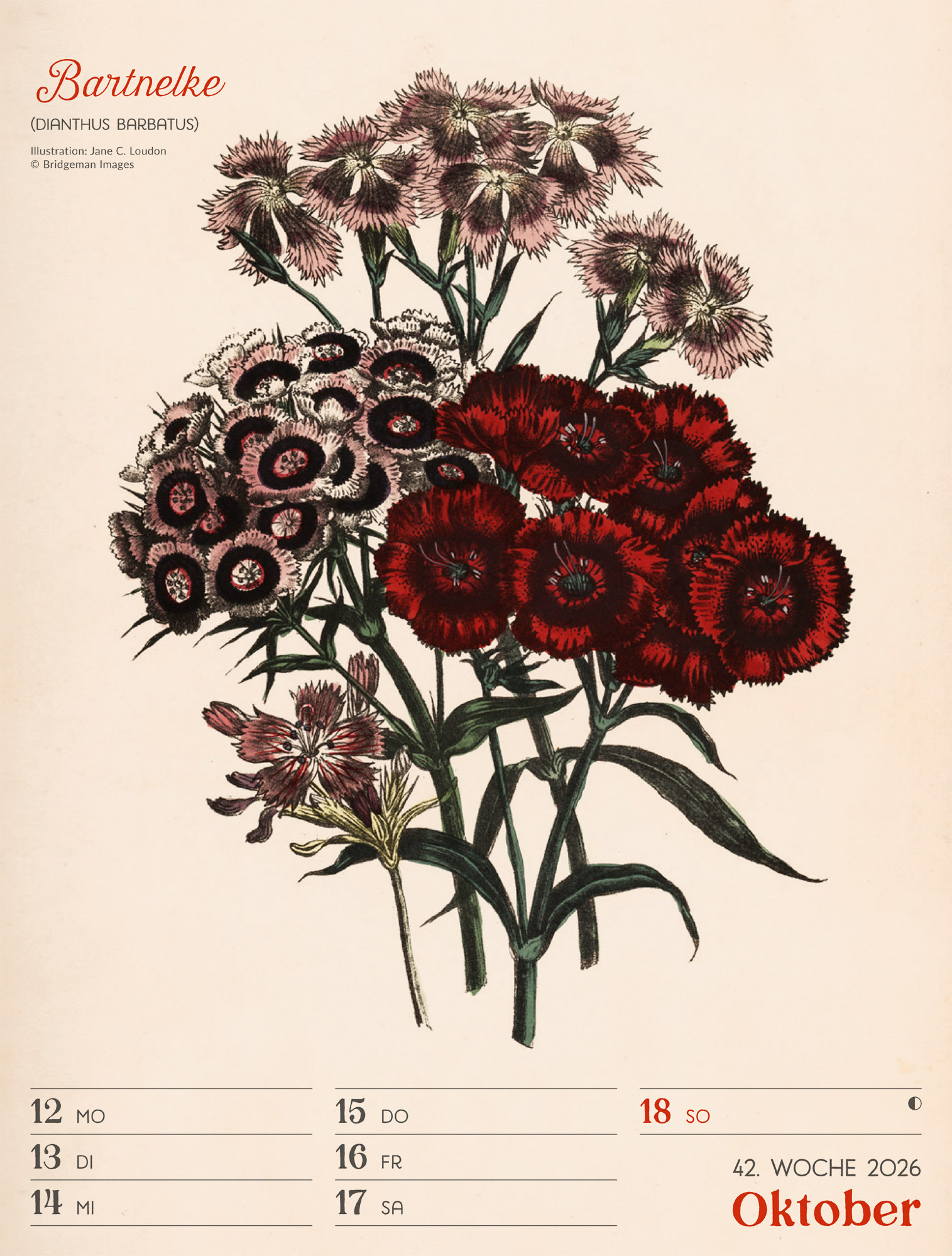 9783838436128_innenansicht_45 9783838436128_innenansicht_45.jpg