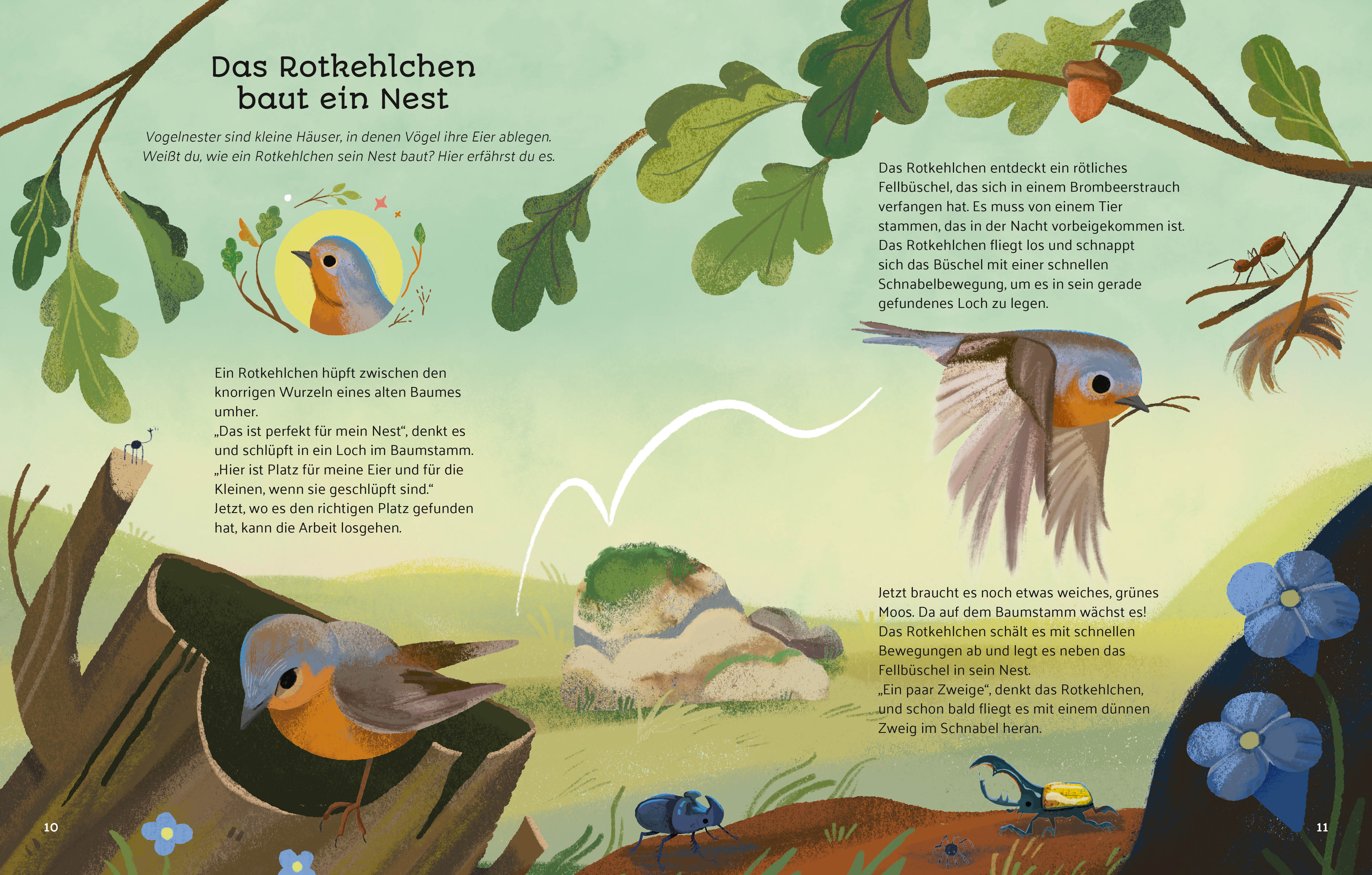 9788863127102_innenansicht_05 9788863127102_innenansicht_05.jpg