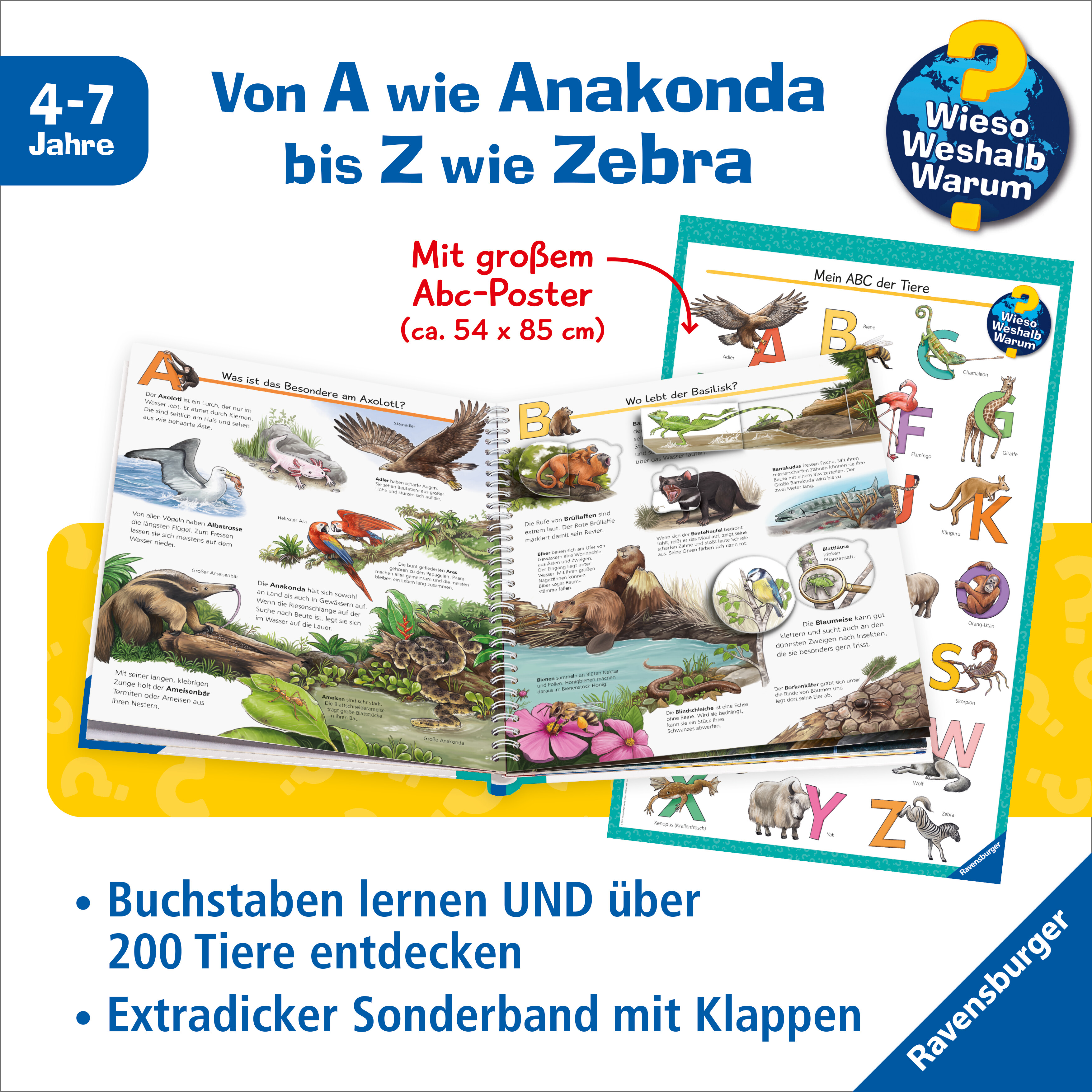 9783473600779_innenansicht_01.jpg