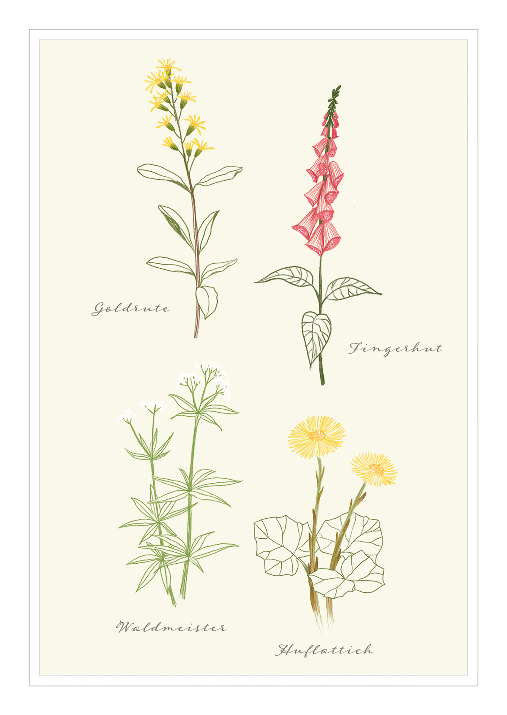 4250222903221_innenansicht_08 4250222903221_innenansicht_08.jpg