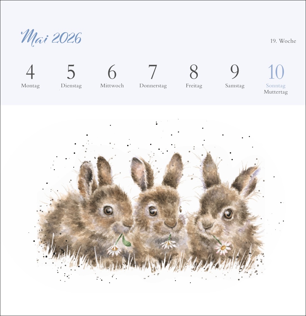 9783756412389_innenansicht_05 9783756412389_innenansicht_05.jpg