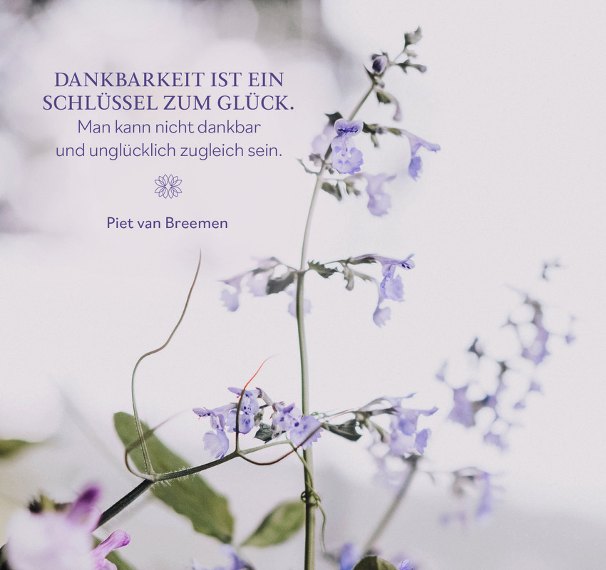 9783789398995_innenansicht_05 9783789398995_innenansicht_05.jpg