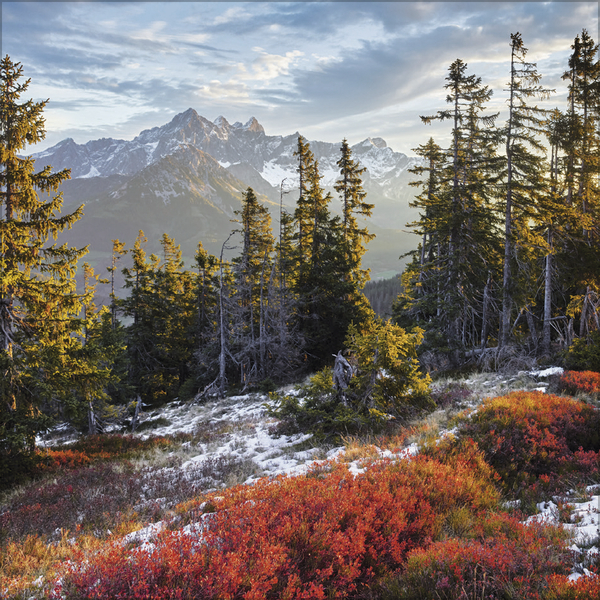 9783731883814_innenansicht_11 9783731883814_innenansicht_11.jpg