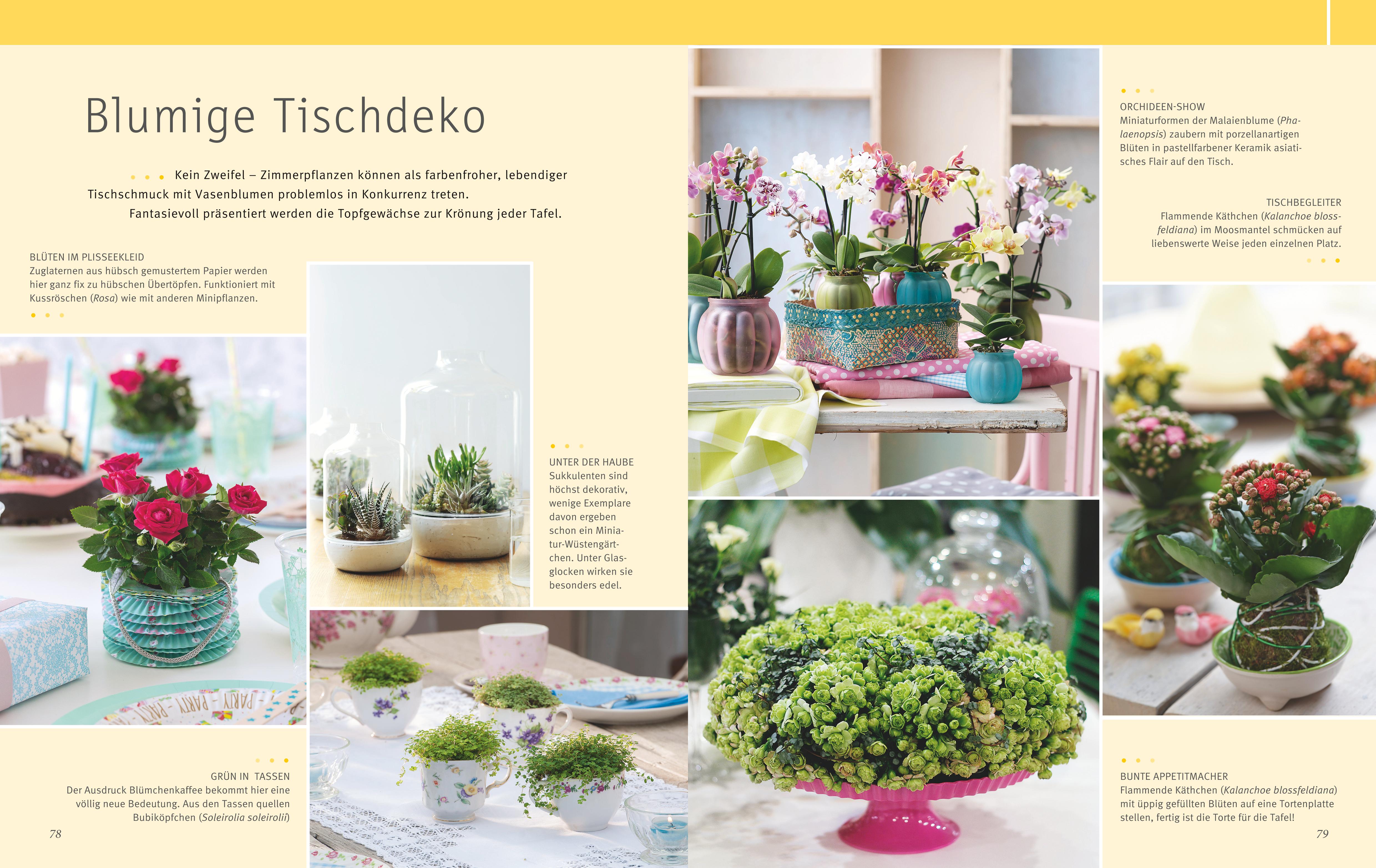 9783833853937_innenansicht_05 9783833853937_innenansicht_05.jpg