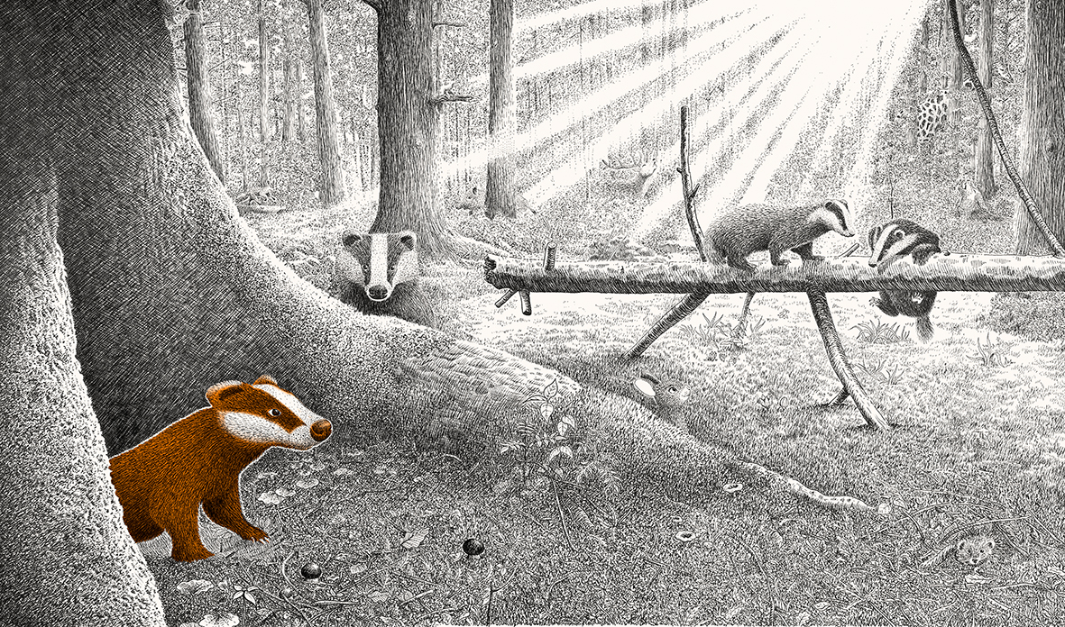 9783772531989_innenansicht_04 9783772531989_innenansicht_04.jpg