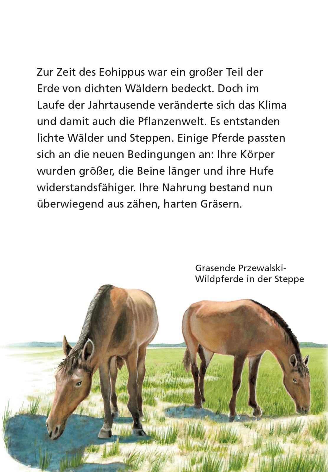 9783551242419_innenansicht_02.jpg