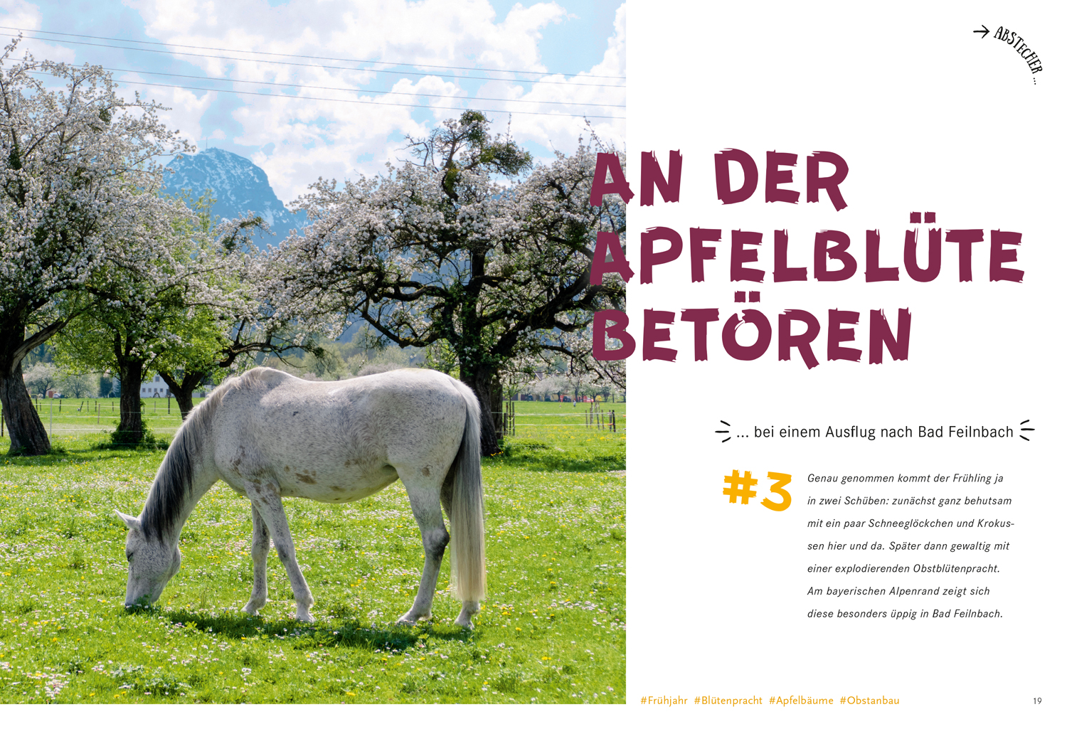 9783770180882_innenansicht_03 9783770180882_innenansicht_03.jpg