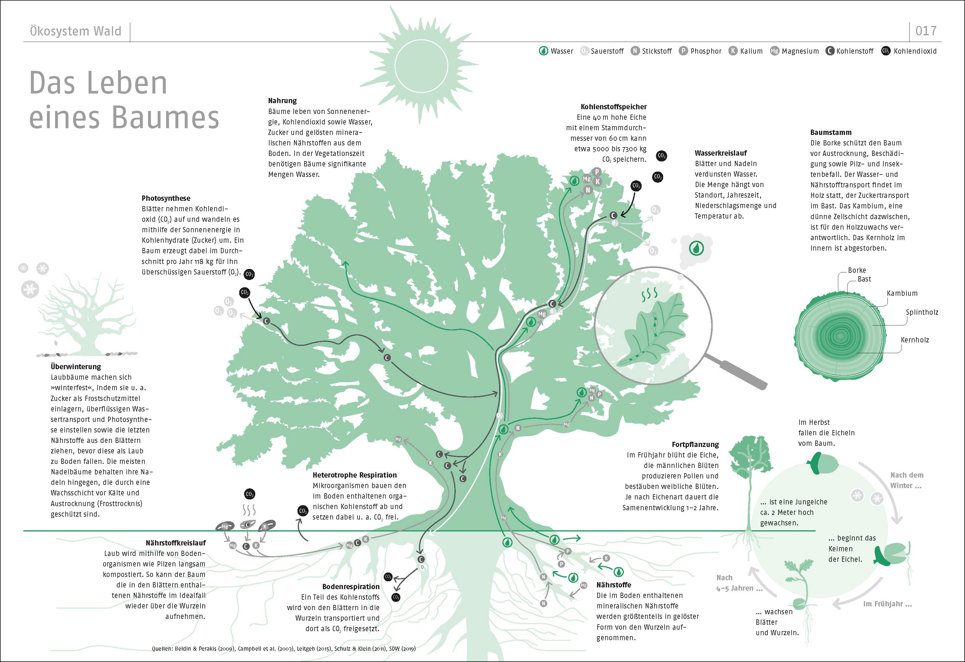 9783962382117_innenansicht_01 9783962382117_innenansicht_01.jpg