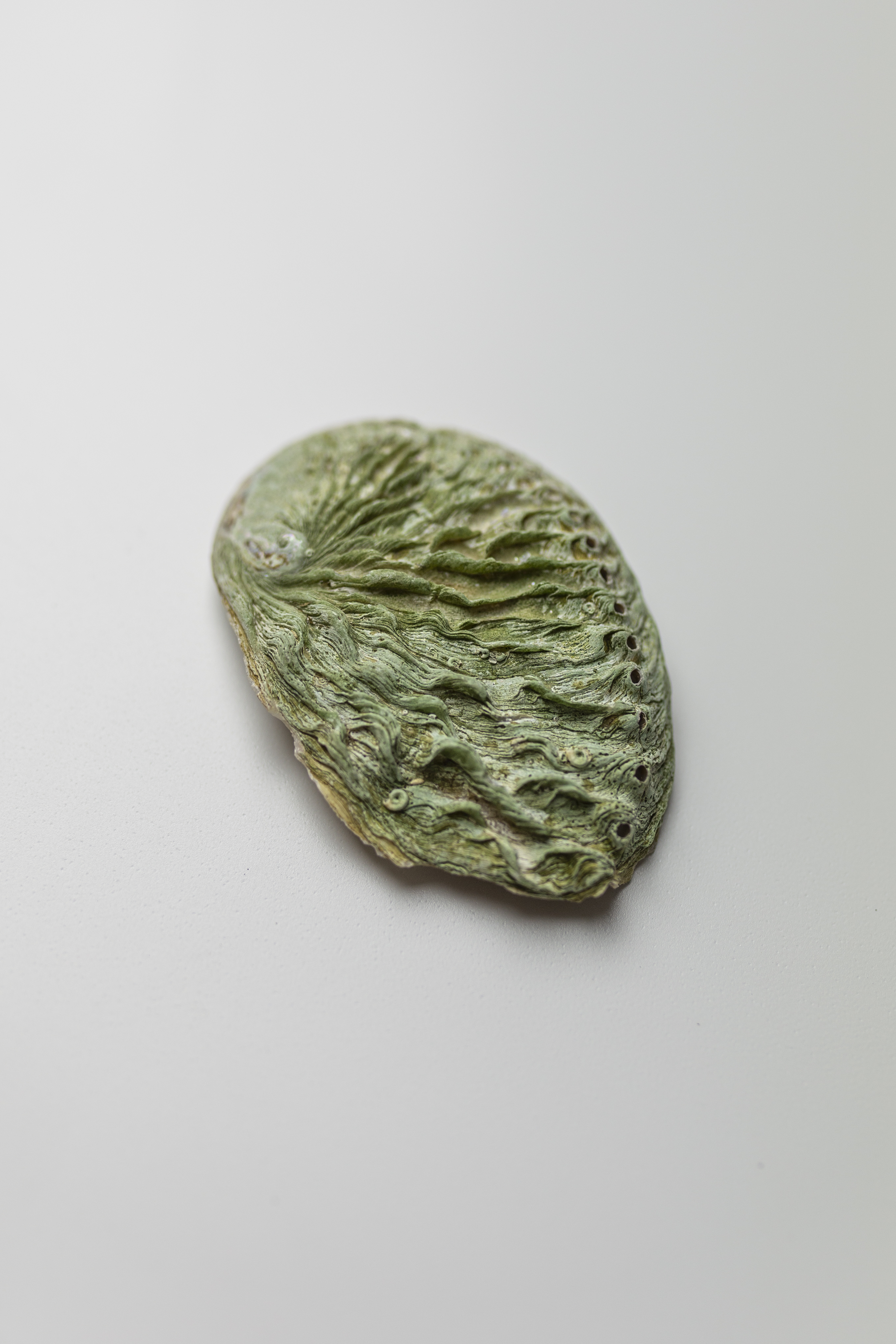 9783966989701_produktbild_08 9783966989701_produktbild_08.jpg