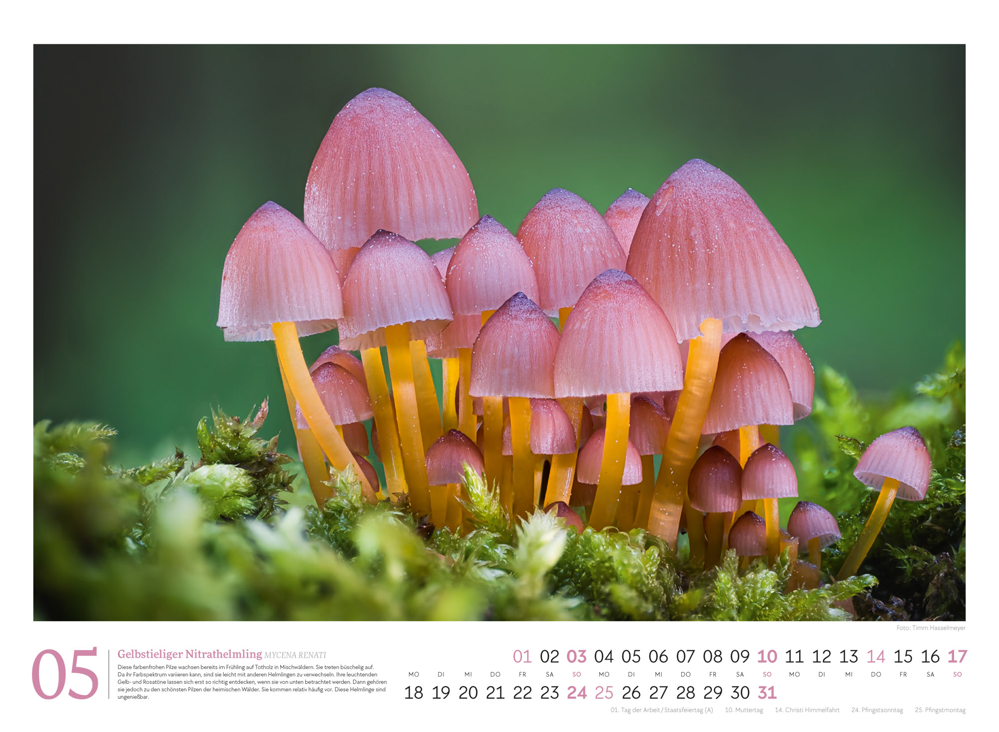 9783838436333_innenansicht_05 9783838436333_innenansicht_05.jpg