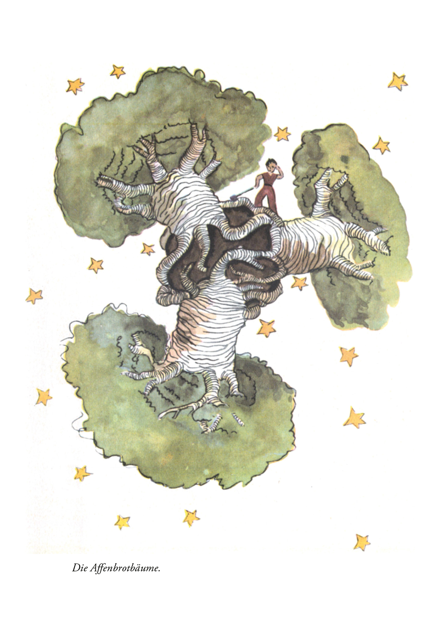 9783868203516_innenansicht_03 9783868203516_innenansicht_03.jpg