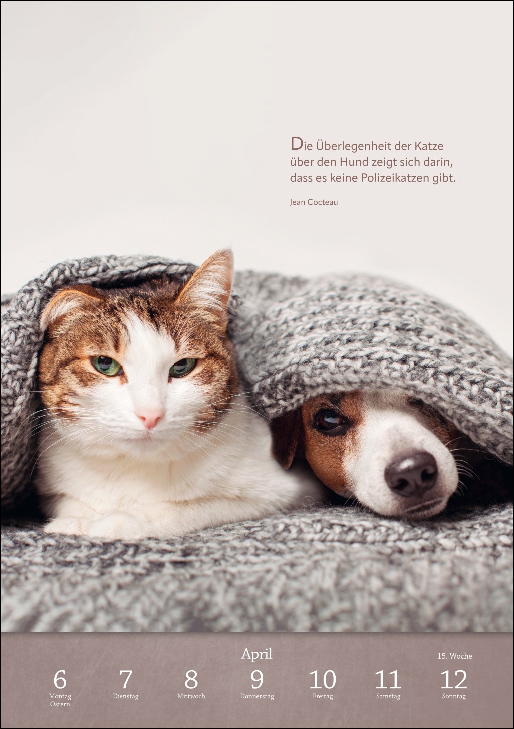 9783840036507_innenansicht_12 9783840036507_innenansicht_12.jpg