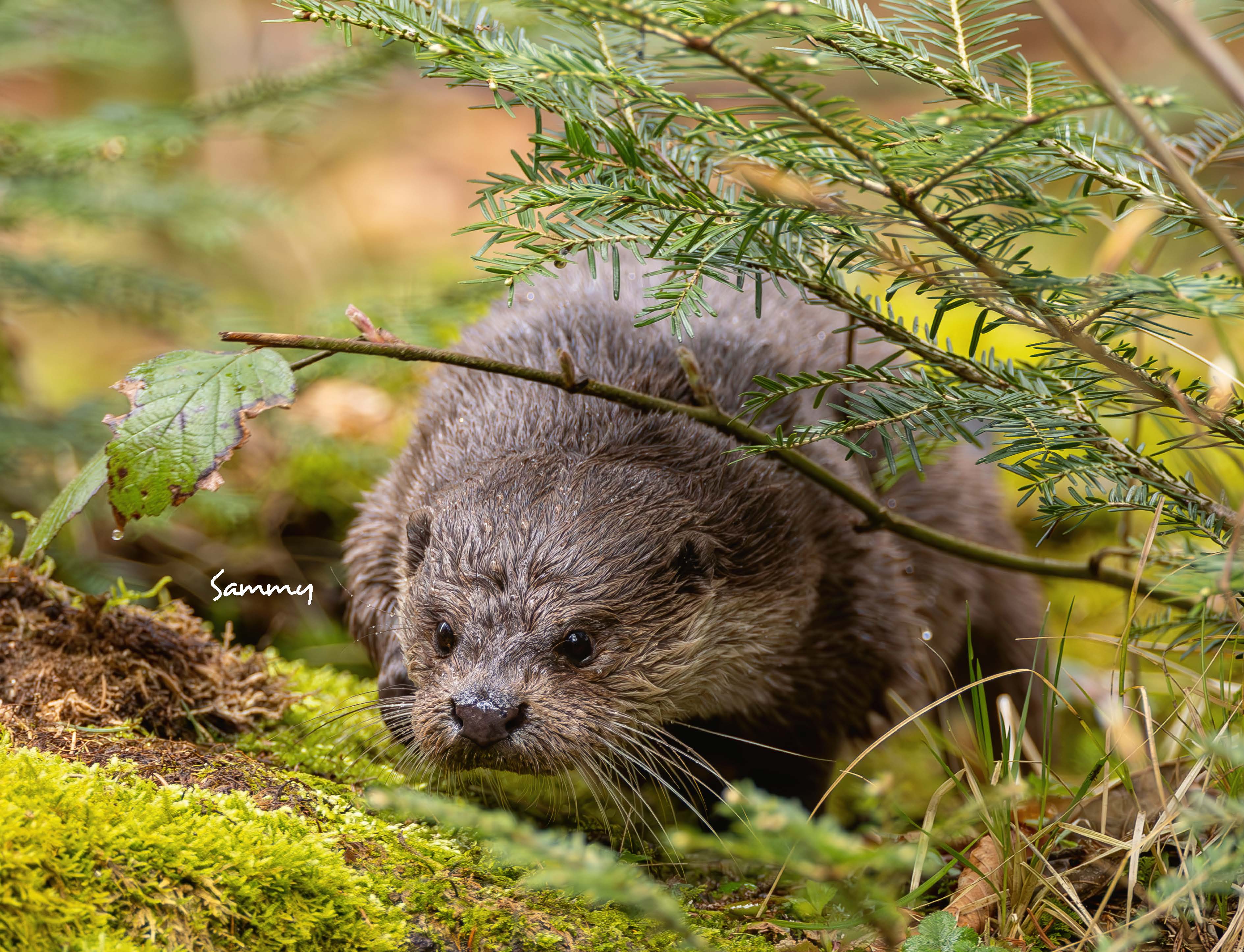 9783966649964_innenansicht_09 9783966649964_innenansicht_09.jpg