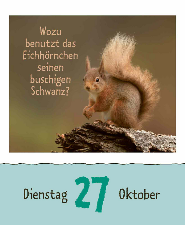 9783731889199_innenansicht_15.jpg