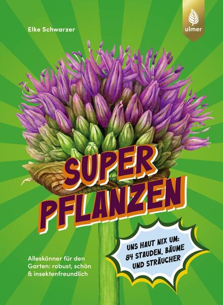 9783818617523 9783818617523