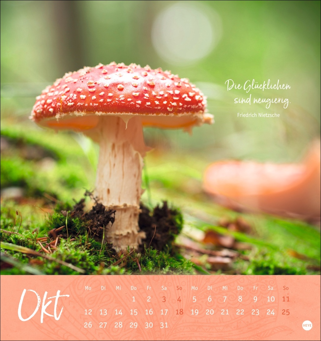 9783756410101_innenansicht_10 9783756410101_innenansicht_10.jpg