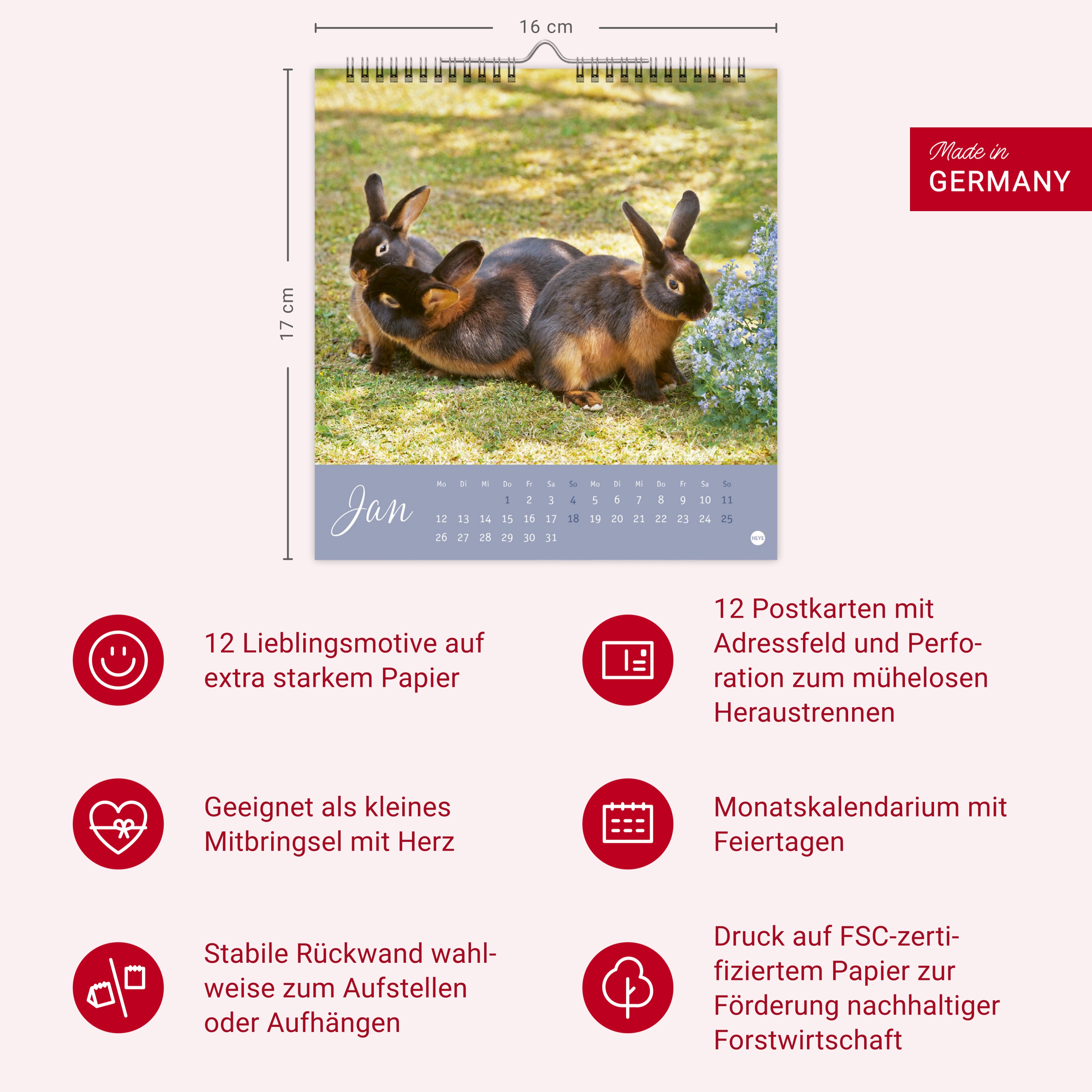 9783756410033_innenansicht_13.jpg