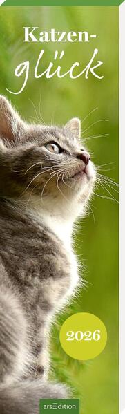 4014489136095 4014489136095