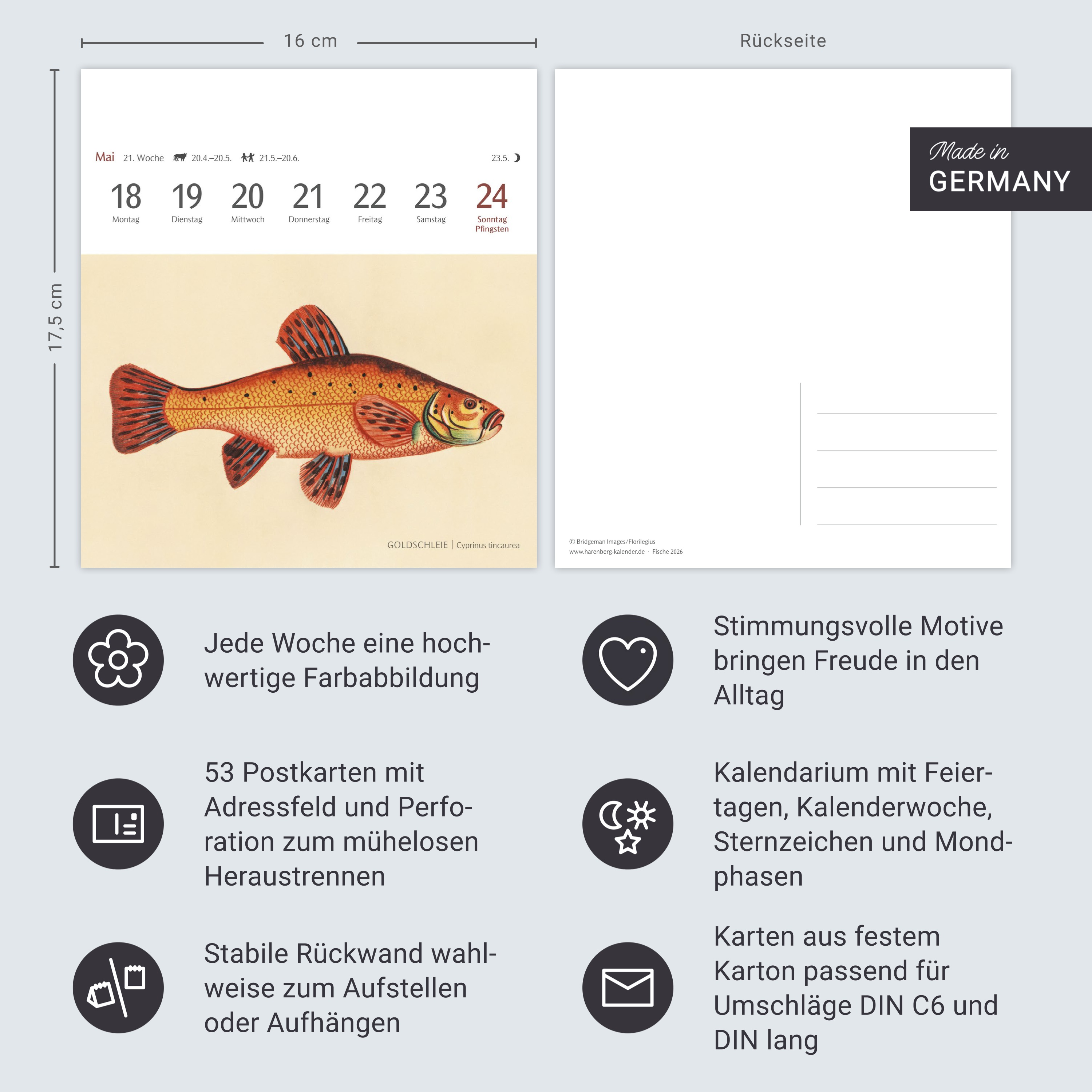 9783840037917_innenansicht_13 9783840037917_innenansicht_13.jpg