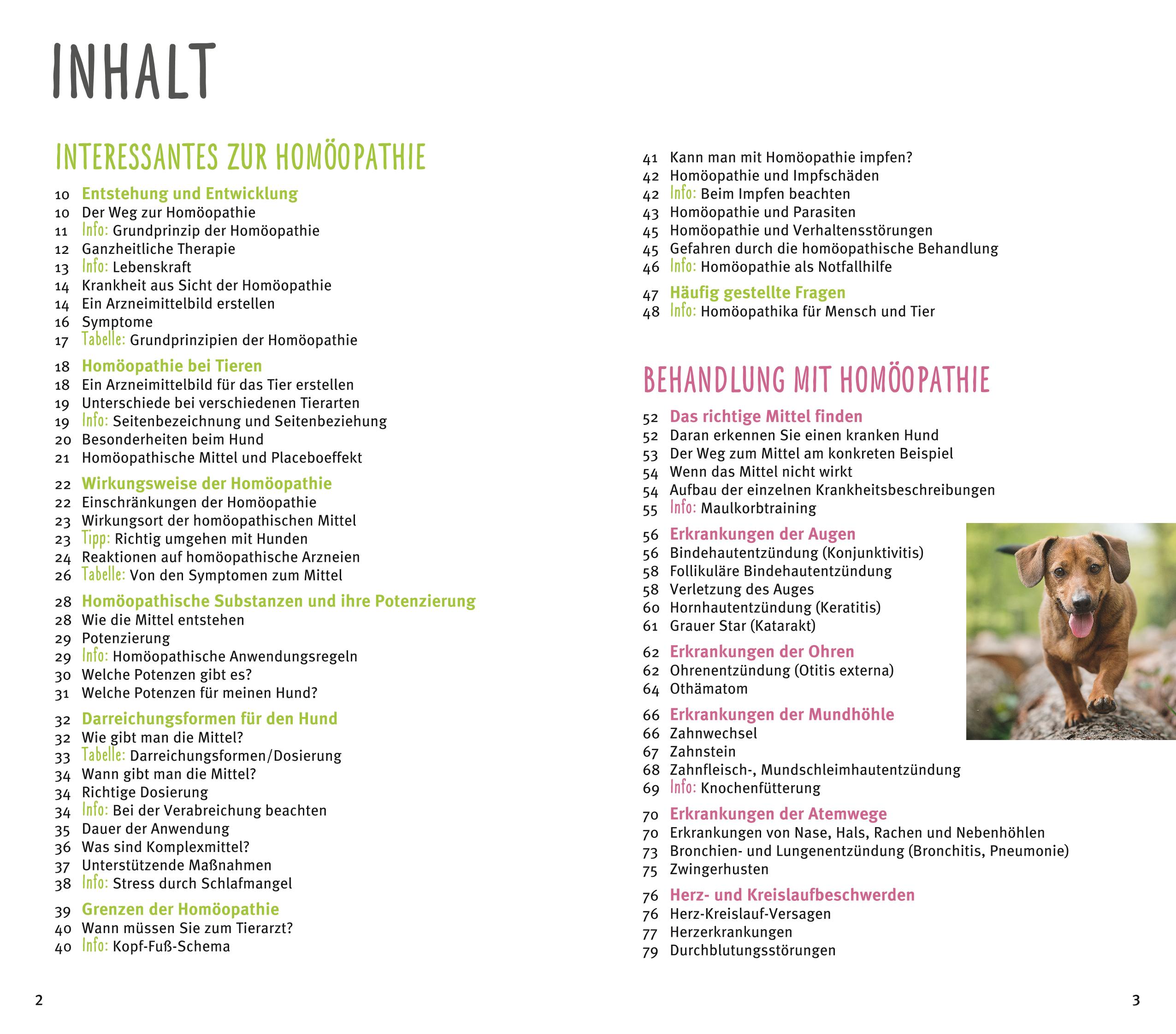 9783833852169_innenansicht_01.jpg