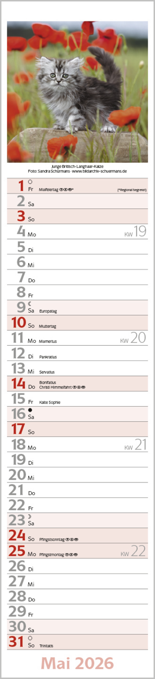 9783731886891_innenansicht_05 9783731886891_innenansicht_05.jpg