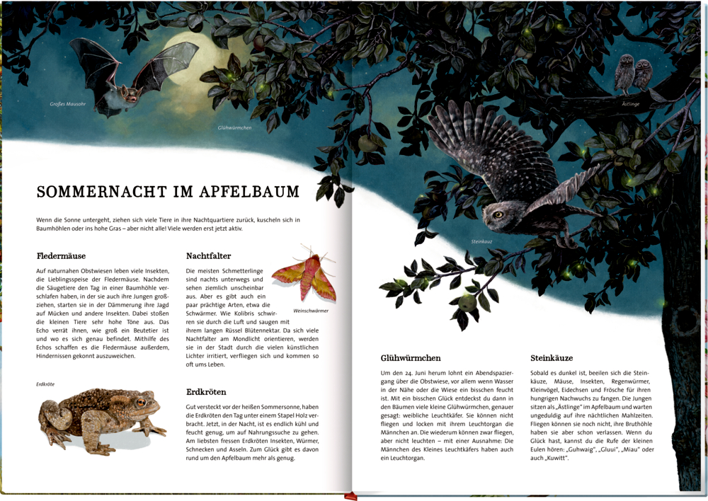 9783649637752_innenansicht_08 9783649637752_innenansicht_08.jpg